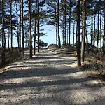 Pluke * Palanga