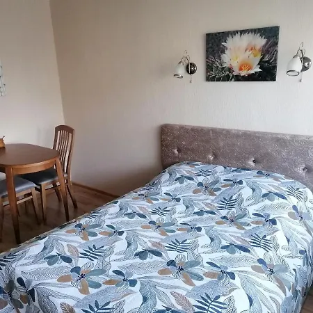 Pluke Apartment