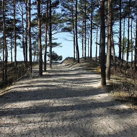 Pluke * Palanga