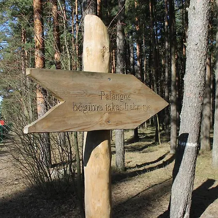 Pluke Połąga