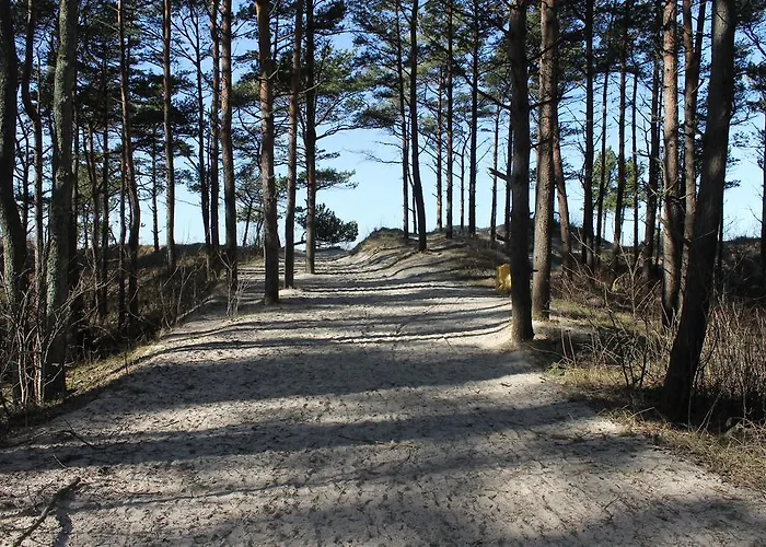 Pluke * Palanga